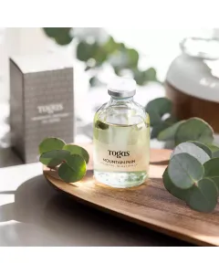 Refill for ceramic diffuser MOUNTAIN PINE