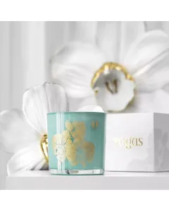 Scented candle APRICOT AND OAT