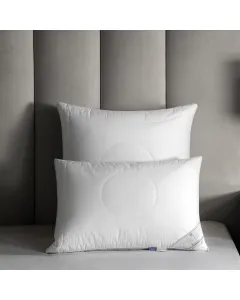Pillow ORBIS     