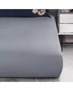 Sheet ORTIS   