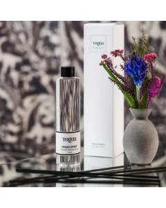 Refill for aroma diffuser FRESH SPIRIT