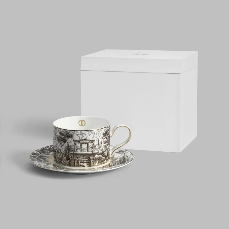 Tea Cup and Saucer set OLYMPIA