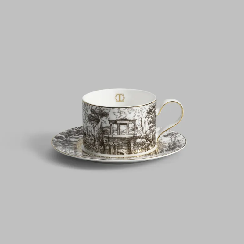 Tea Cup and Saucer set OLYMPIA