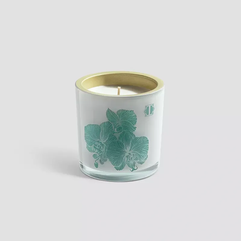 Scented candle WOODY SAFFROM OZNU