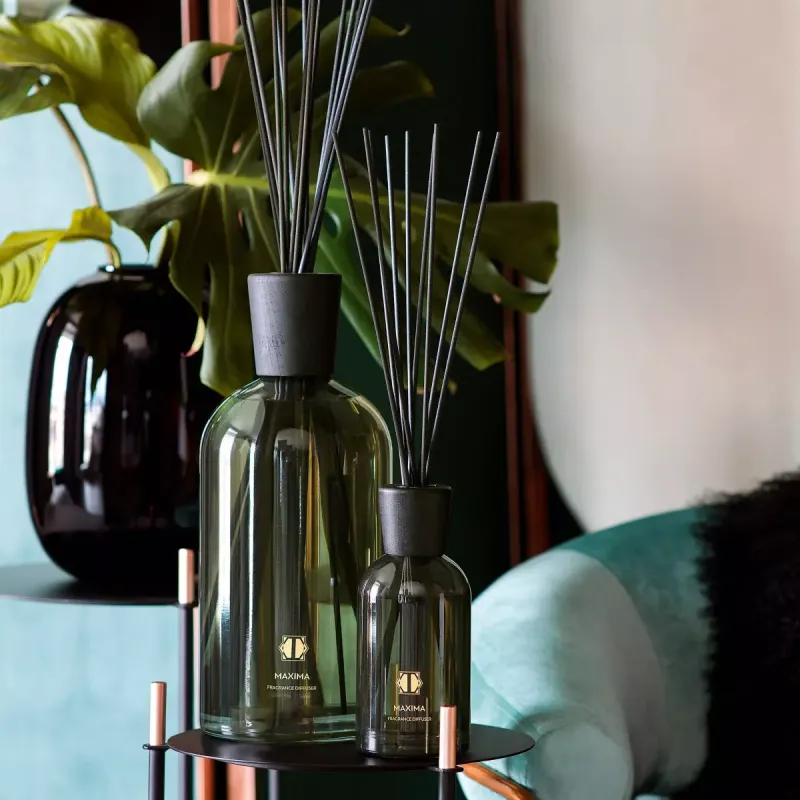 Aroma diffuser MAXIMA    