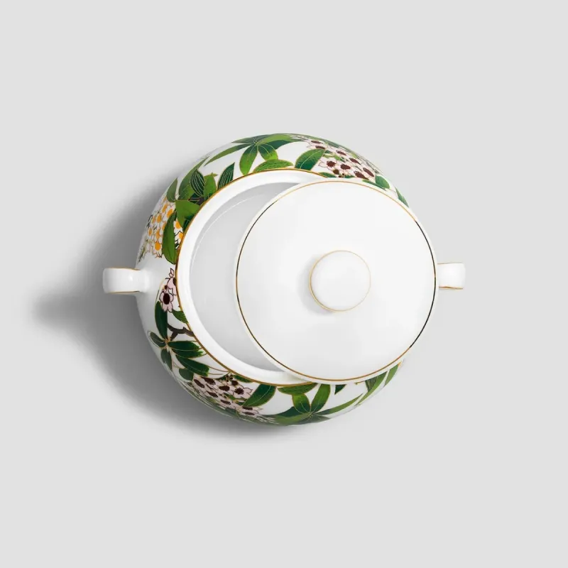 Tureen BELIZE   