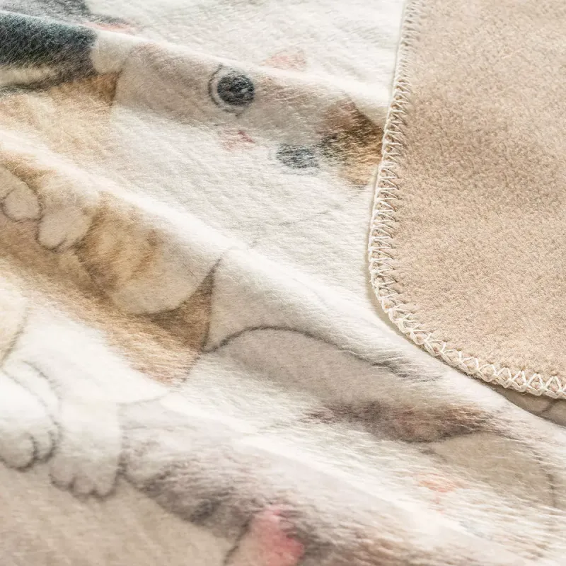 Throw KITTY   