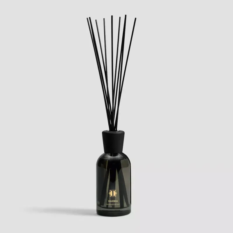 Aroma diffuser MAXIMA    