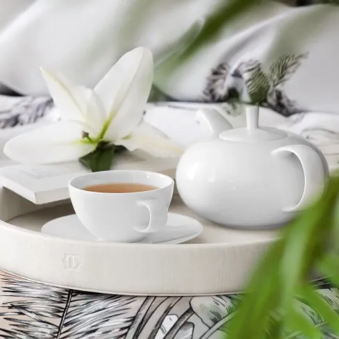 Tea Cup and Saucer set NEA  