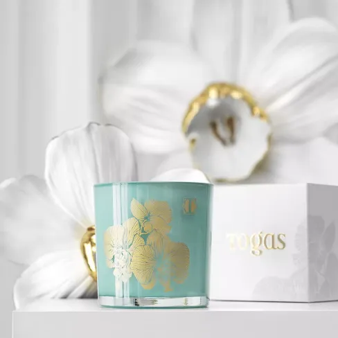 Scented candle APRICOT AND OAT