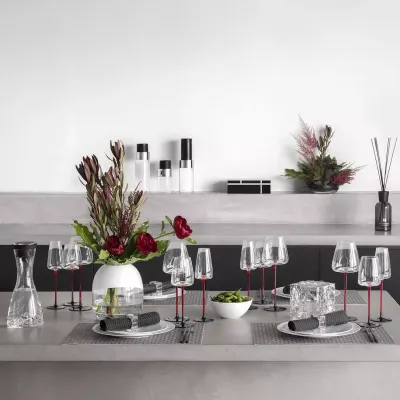Red wine glasses MIDARIA