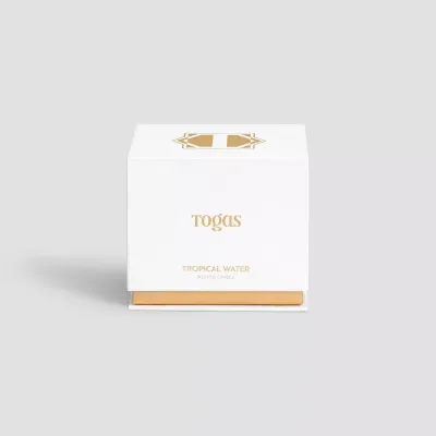 Scented candle TROPICAL WATER 