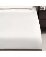 Sheet LINARI