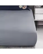 Sheet ORTIS   